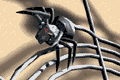 web.gif