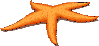 starfish[1].gif