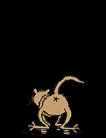 springcat.gif