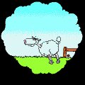 sheep.gif