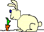 rabbit3.gif