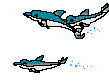 dolphins.gif