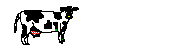 cow1[1].gif