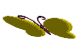 3d butterfly.gif