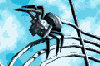web2.gif