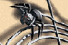 web.gif