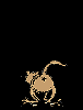 springcat.gif