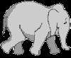 elephants.gif
