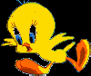 Tweety[1].gif