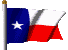 texasc.gif