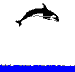 orca0.gif