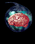 brain0.gif