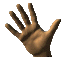 01_28_t.gif