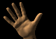 01_28_b.gif