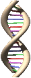 01_21_t.gif