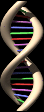 01_21_b.gif