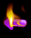 bpprev.gif