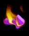 bpnext.gif