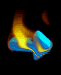 bbnext.gif