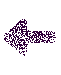 tpprev.gif