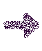 tpnext.gif