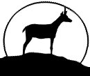 antelope_silhoutte_mw.gif