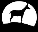 antelope_silhoutte_mb.gif