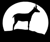 antelope_silhoutte_lb.gif