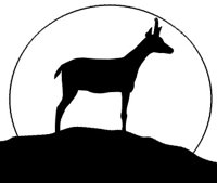 antelope_silhoutte_hr.jpg