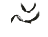 vampire_bat_swarm_sw.gif