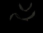 vampire_bat_swarm_mc.gif