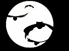 batswarmmoon_lw.gif
