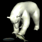 polarbear2_freshcatch_sb.gif