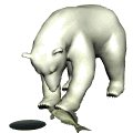 polarbear2_freshcatch_mw.gif