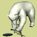 polarbear2_freshcatch_mc.gif