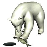 polarbear2_freshcatch_lw.gif