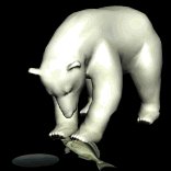 polarbear2_freshcatch_lb.gif