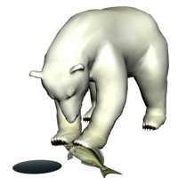 polarbear2_freshcatch_hr.jpg