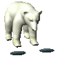 polarbear1_hungry_sc.gif