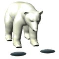polarbear1_hungry_mw.gif