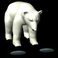 polarbear1_hungry_mb.gif