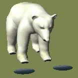 polarbear1_hungry_lc.gif