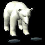 polarbear1_hungry_lb.gif