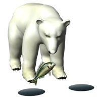 polarbear1_hungry_hr.jpg