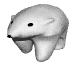 polar_bear_walk_mw.gif