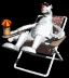 polar_bear_lounging_sb.gif