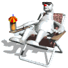 polar_bear_lounging_mw.gif