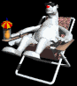 polar_bear_lounging_mb.gif