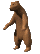 brown_bear_spin_mc.gif