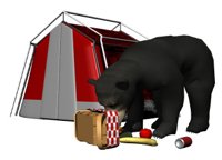 blackbear_tent_picnicbasket_snacking.jpg